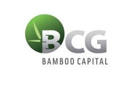 CTCP Bamboo Capital